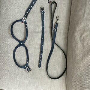 Buddy Belts Dog harness, collar and leash